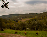 Patio View