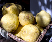 Lemons from Capri