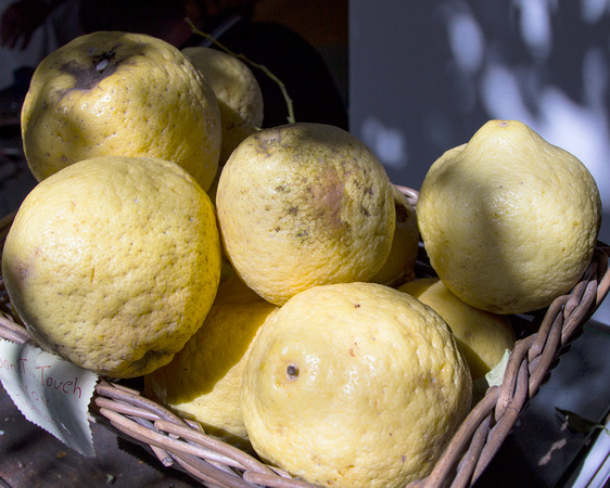 Lemons from Capri