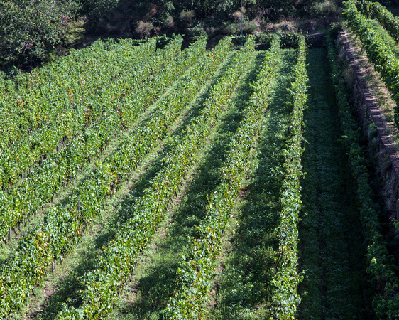 Mountain Vinyerd Sicily