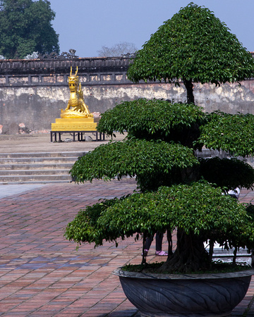 Courtyard, Ancient City of Hue