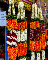 Garland Street Vendor