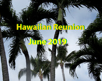 2019 Hawaii