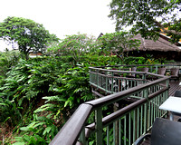 Kokopo Beach Resort, outside Rabal, PNG