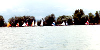 Bow Mar Sail Boat Race